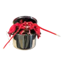 L'ÉCHAPPÉE DE MAÎTRE HOMARD