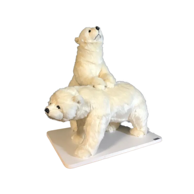 [20139] TWO BEAR CUBS
