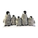 PINGOUINS PAR 5