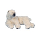 WATCHING POLAR BEAR